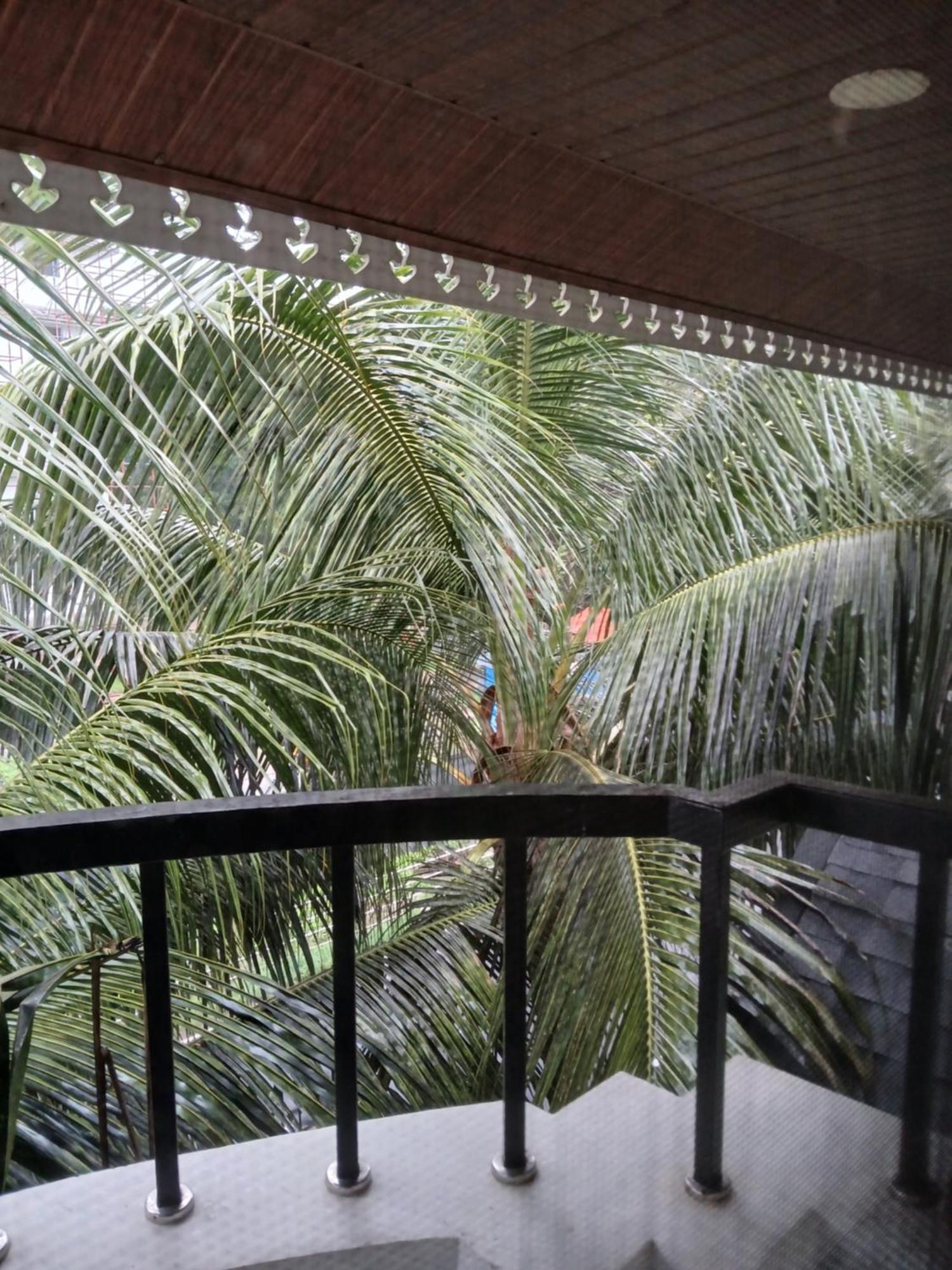 Kochi Annies Inn Homestay מראה חיצוני תמונה